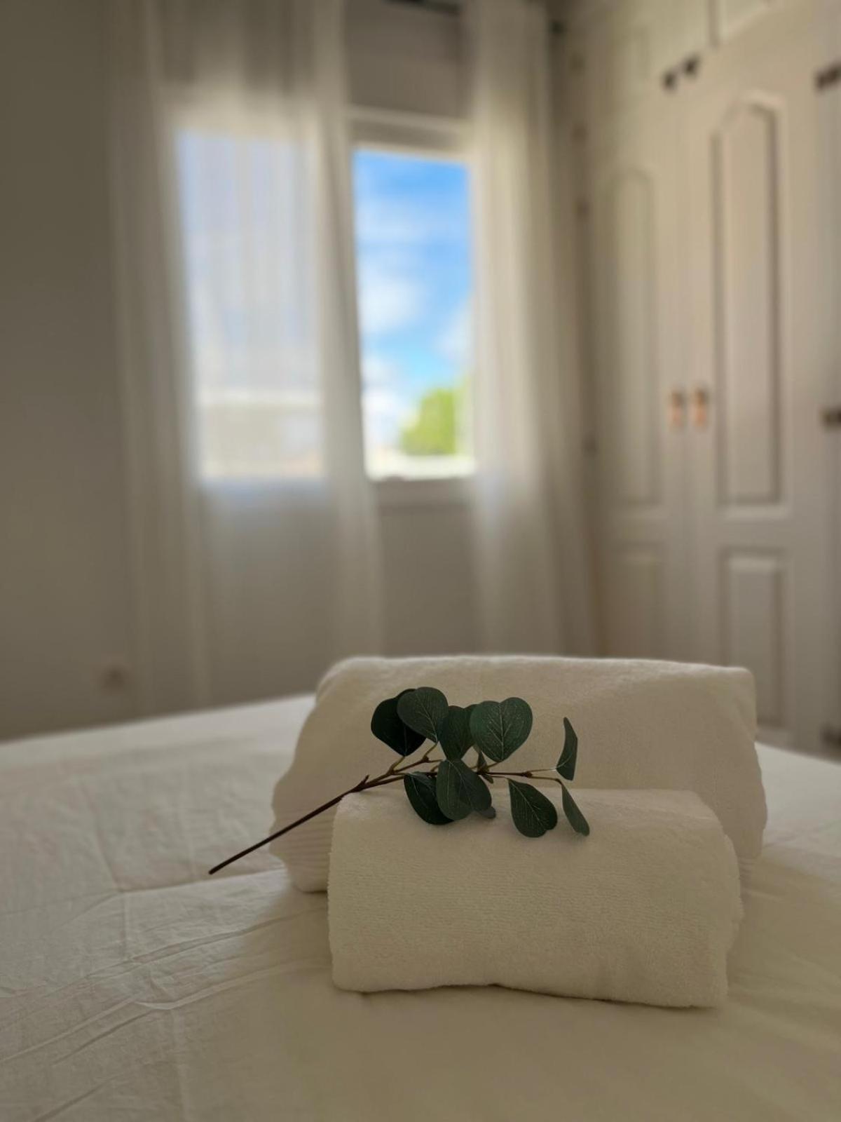 Apartament Prime Location - Stylish With Free Wifi, Free Parking, Steps From The Historic Center